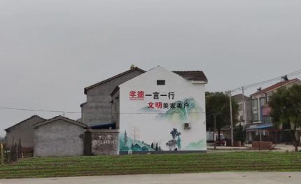 兴平新农村墙绘